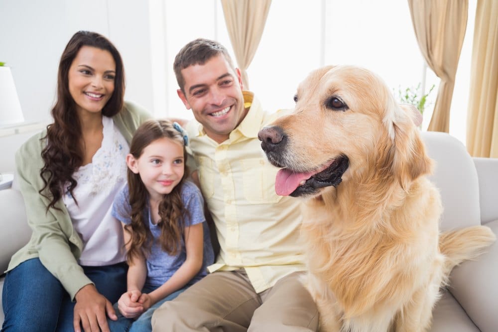 happy family and pet