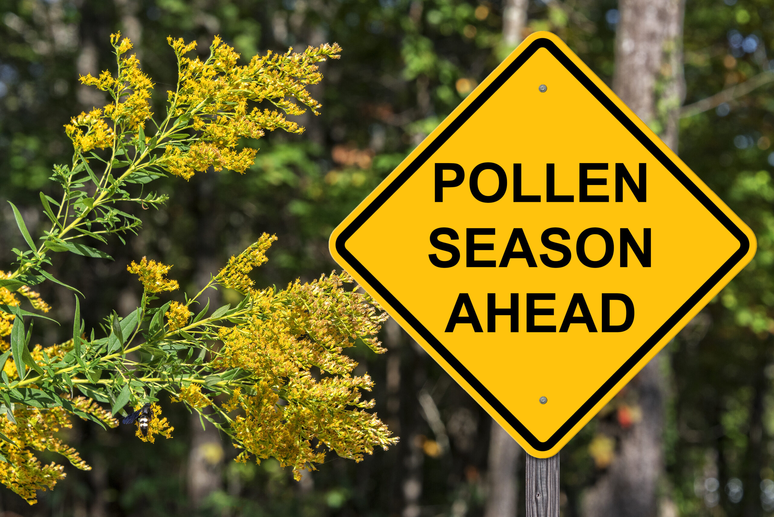 AC affected by pollen season NJ